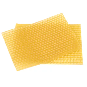 50PCS Včelárskych Úľa Včelárskych Honeycomb Nadácie Rám Úľa Záhrade Úľ Včelárske Náradie