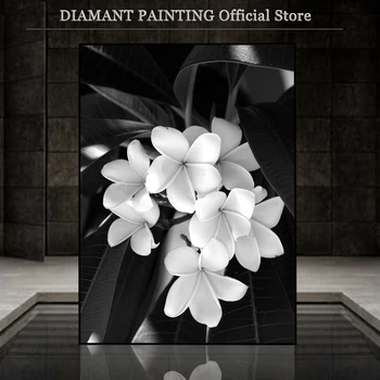 Diamond Maľovanie na Plné Kolo Námestie Kôpor Kvet 5D Diamond Výšivky Predaj Čiernej A Bielej Skúmie Mozaiky Ručné Darček Umenie